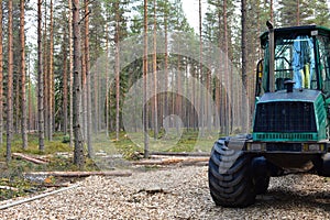 Heavy equipment in logging and forestry: Forwarder