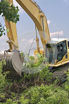 Heavy Equipment Strips Vegetation