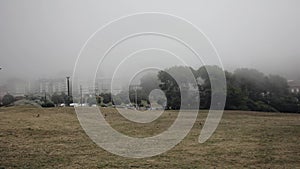 Heavy fog in the city, a park for walking, in the background of the road with cars and residential buildings.