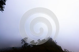 Heavy fog, cloud and mist in tropical rainforest in mon jong doi at Chaing ma