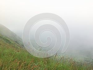 Heavy fog and cloud on top the mountain Chaing mai, Thailand