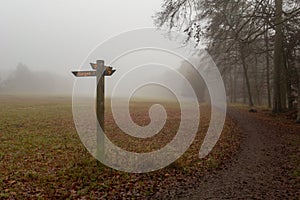 Heavy fog at the crossroads with signposts in the forest. The sign reads: target