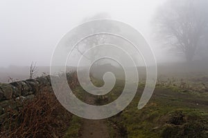 Heavy fog in the fields below Baslow Edge, in the Derbyshire Peak District