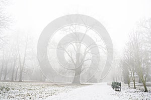 Heavy fog in the park after the first snow