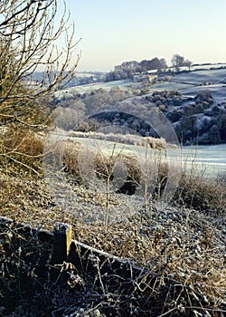 UK, Glos, Cotswolds, Chalford, Winter scene, heavy frost