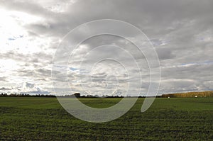 Heavy grey clouds in the cold autumn sky over  green fields