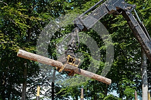 Heavy harvester loader doing forestry work