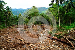 Heavy landslides happened in the Nedumpoyil Ghat in Kerala