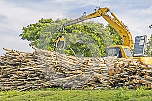 Heavy machine lifting logs - used for deforestation in clearing / Excavator