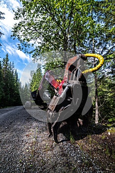 Heavy Machine for Loading Cut Trees