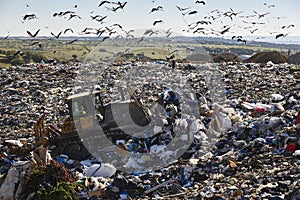 Heavy machinery shredding garbage in an open air landfill. Pollution