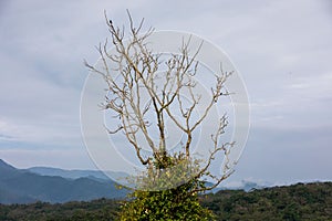 Heavy mist over Arenal Volcano, Costa Rica