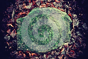 Heavy old stone vegetated with moss