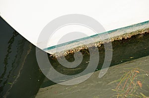 Heavy organic fouling barnacle and soft growth on boat hull