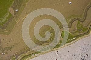 Heavy pollution on water surface and beach. Environment concept