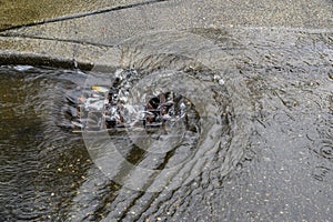 Heavy rain caused flooding in street, water swirling around storm drain