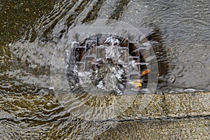 Heavy rain caused flooding in street, water swirling around storm drain