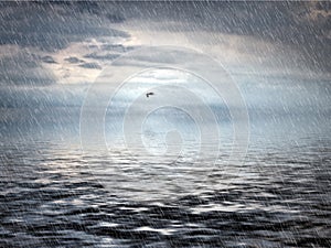 Heavy rain falling on a dark sea with dramatic storm clouds reflected on the water and a single flying seagull