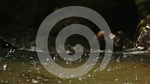 Heavy Rain Falling on a Shallow Stream.