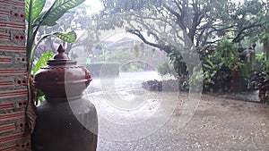 Heavy rain in front yard and landscape nature garden background , windy