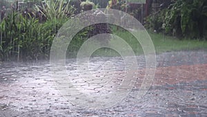 Heavy rain on pavement and nature garden background , windy