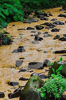 After a heavy rain storm, muddy brown water runoff fills a small stream photo