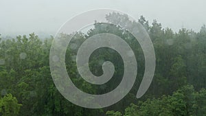 Heavy rain in summer. View from the window of the forest and a heavy downpour.