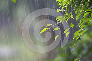 Heavy Rain photo