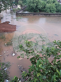 Heavy rainfall caused flood in my locality