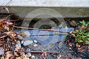 After the heavy rains, erosion in a garden median with watering hoses and standing rainwater