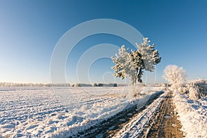 Heavy rutted road with frosted water in winter landscape