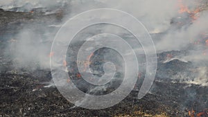 Heavy smoke from a forest fire. Scorched earth after shelling.