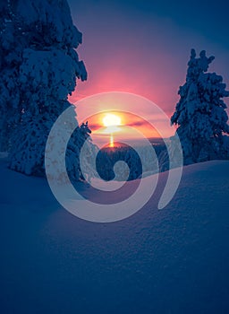 Heavy snow sunset view from Sotkamo, Finland.