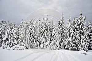 Heavy snowfall in the Apennines