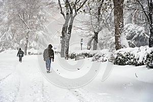 Heavy snowfall, Filomena, in the city of Madrid photo