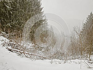 heavy snowfall in the Harz Mountains