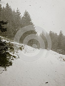 heavy snowfall in the Harz Mountains