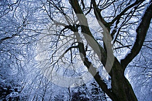 Heavy snowfall at Merthyr Tydfil, South Wales, UK