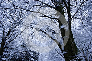 Heavy snowfall at Merthyr Tydfil, South Wales, UK