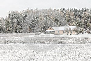 Heavy snowfall in Northern Europe countryside. White snow blizzard in rural landscape photo