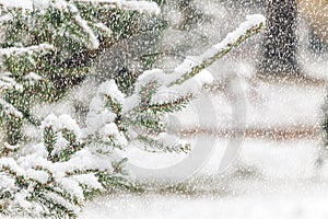 Heavy snowfall in Northern Europe countryside. White snow blizzard in rural landscape photo