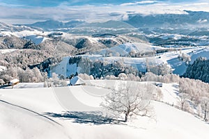 Heavy snowfall in Romania in the Rucar Bran Pass in Transylvania near Brasov and Sinaia