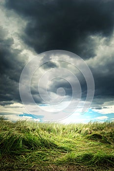 Heavy storm clouds over a green grass field