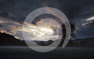 Heavy storm clouds at sunset with tree on meadow