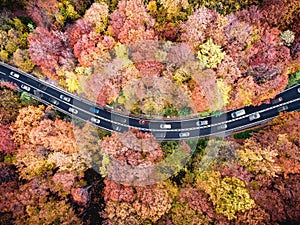 Heavy traffic on a highway trough the forest with cars stuck in a traffic jam