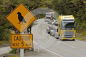 Heavy traffic leaving the kea danger zone