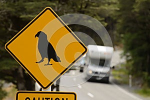 Heavy traffic leaving the kea danger zone