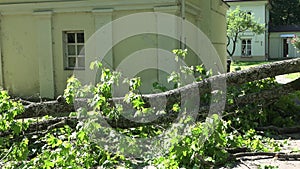 Heavy tree branch fallen on fence and entrance to residential house