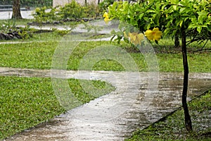 Heavy tropical rain shower