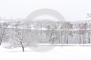 Heavy Winter Snow In Bucharest